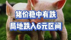 4月1日生猪价格：4月”开门绿”，市场供需利空，猪价或难保7元？