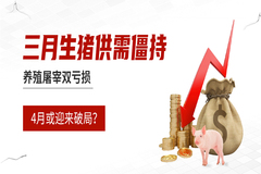 三月生猪供需僵持，养殖屠宰双亏损，4月或迎来破局？