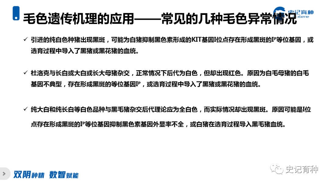 毛色遗传理论