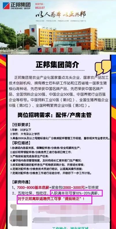 正邦集团招聘