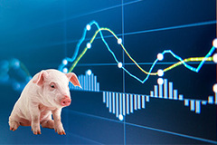 猪价持续低位，养殖端持续亏损，4月份生猪价格或低位运行？