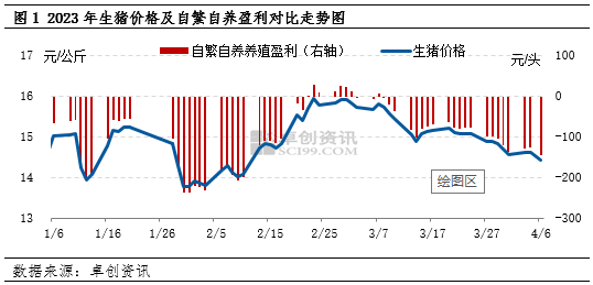 生猪价格、自繁自养盈利