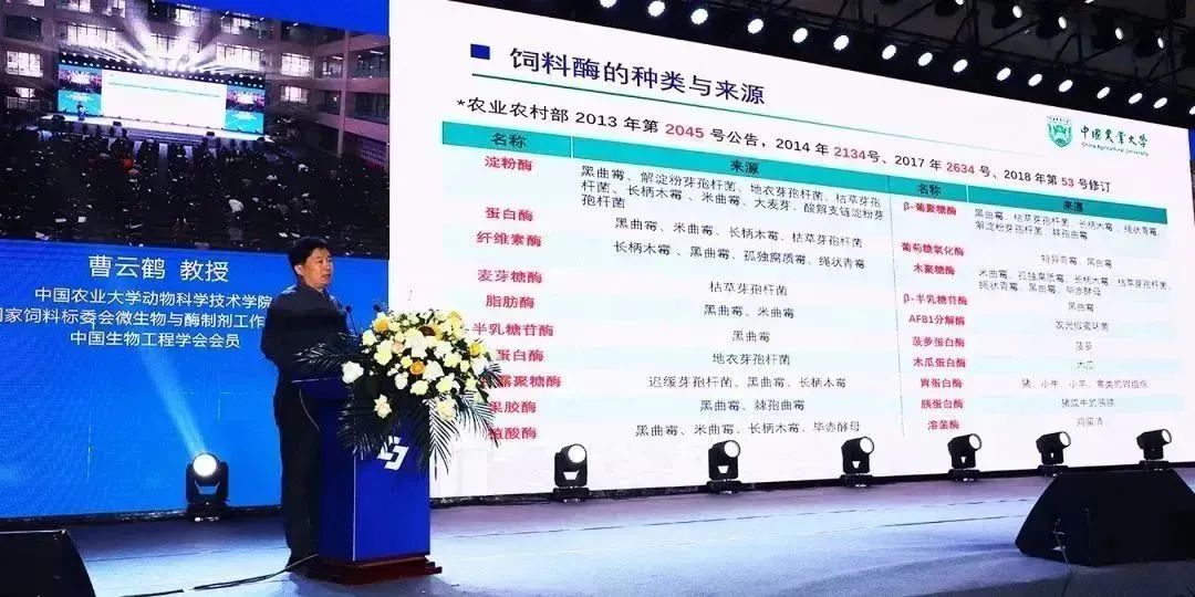 曹云鹤