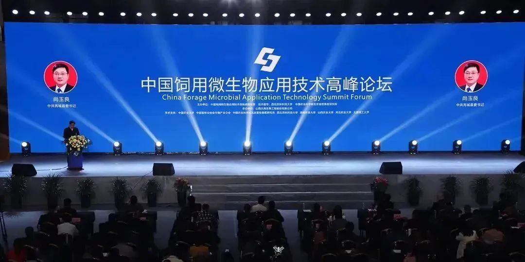尚玉良