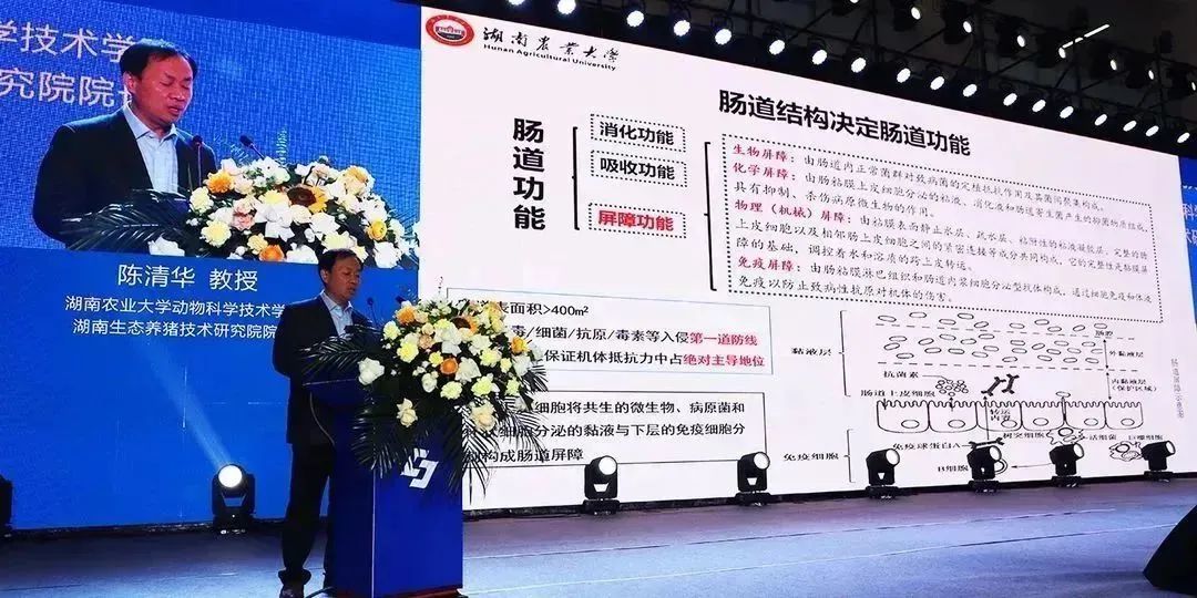 陈清华