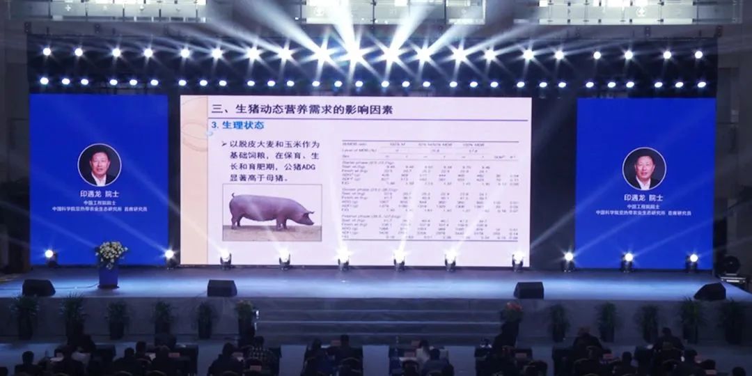 印遇龙