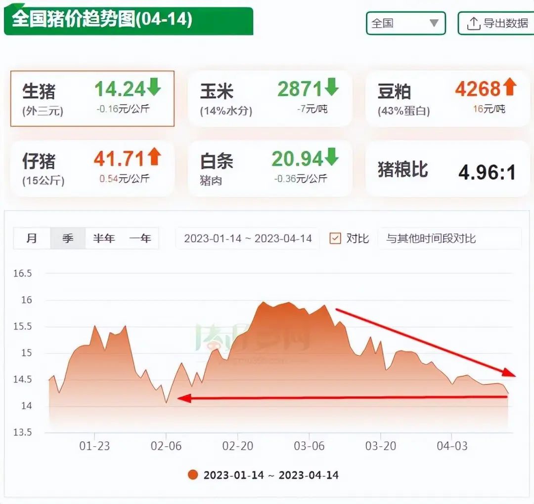 猪价趋势图