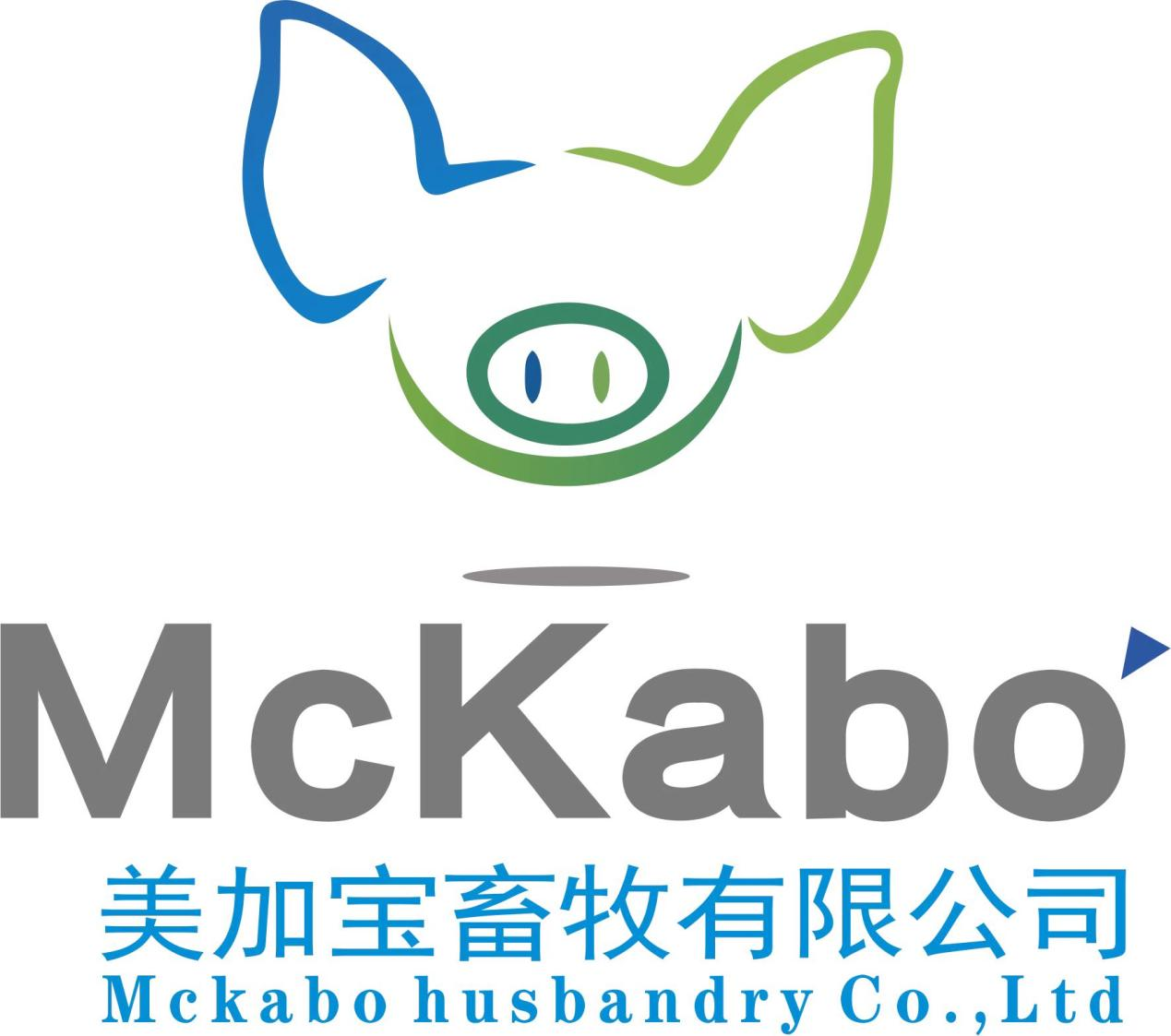 美加宝