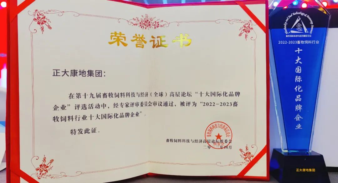 十大国际化品牌企业
