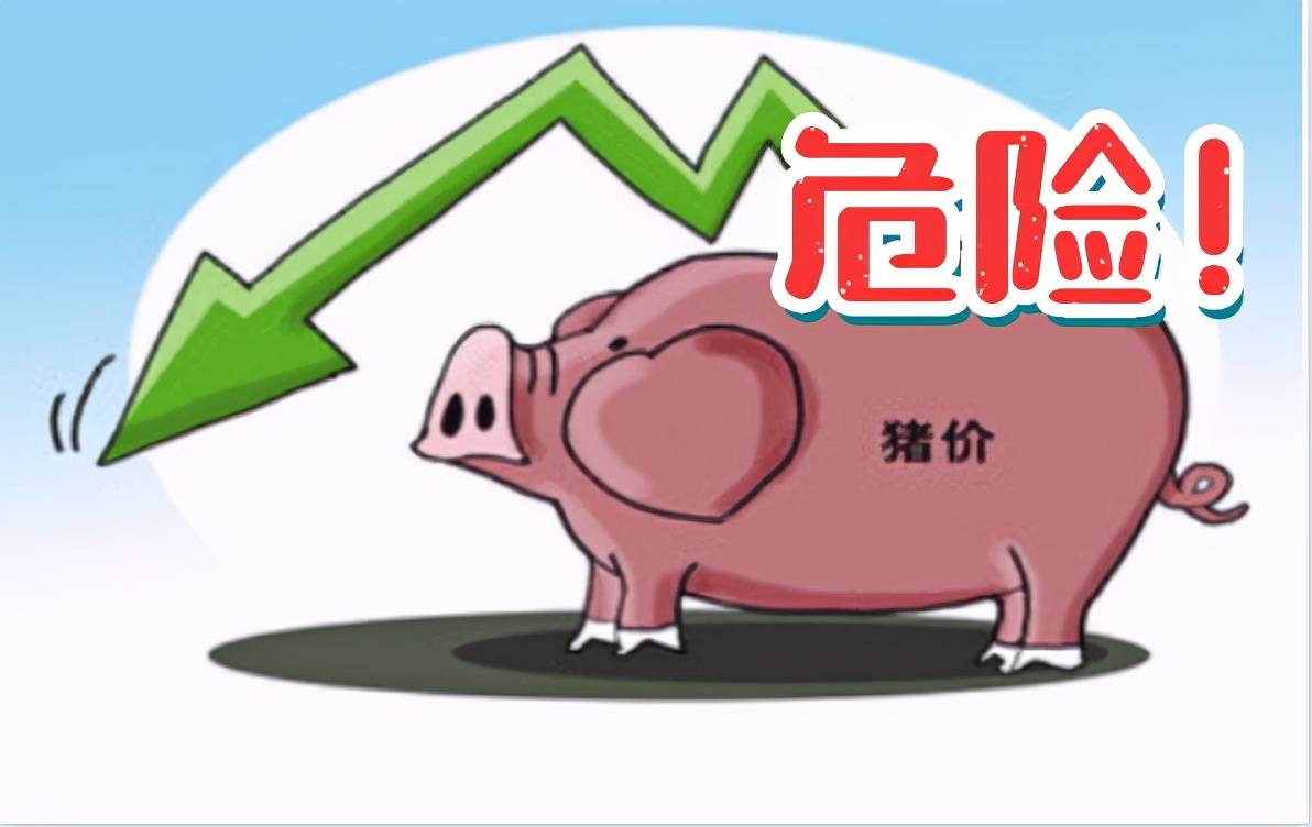跌破7元/斤，朱增勇：预计4月底开始，猪价将震荡反弹