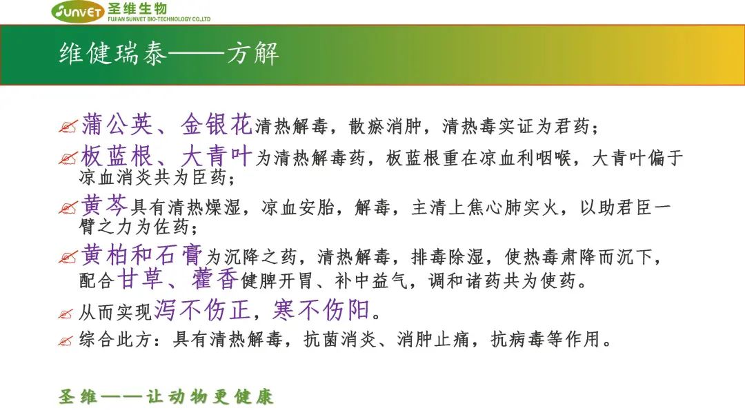 维健瑞泰