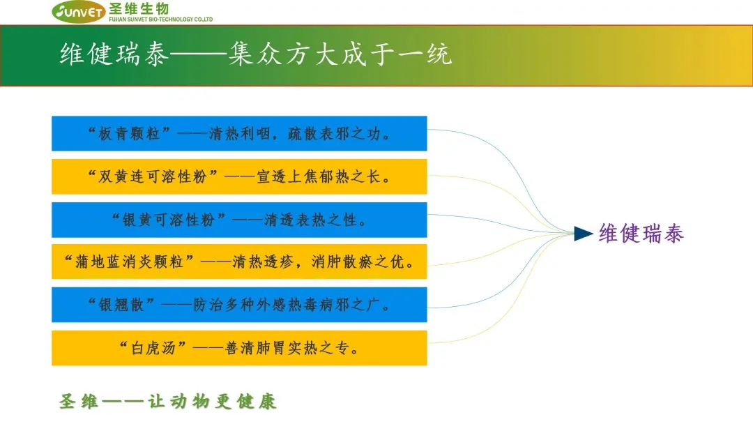 维健瑞泰