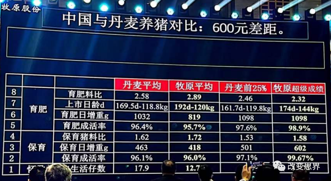 中国与丹麦养猪对比