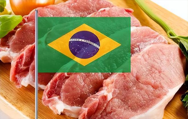 猪价低迷为何还要进口猪肉？法国的猪肉是否抢夺我国本土养殖户的市场？