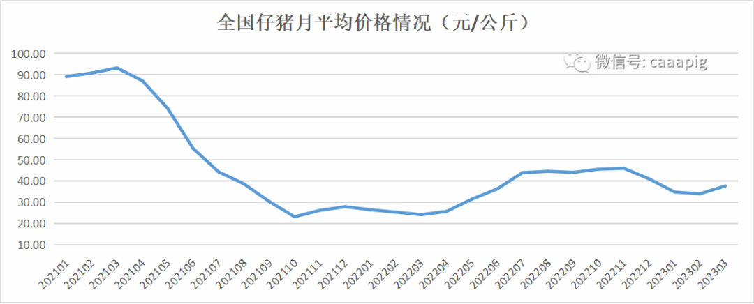 仔猪价格