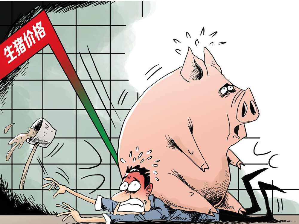 猪价下跌