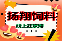 猪不可一日无料！扬翔饲料线上购，一键下单，快速送达！