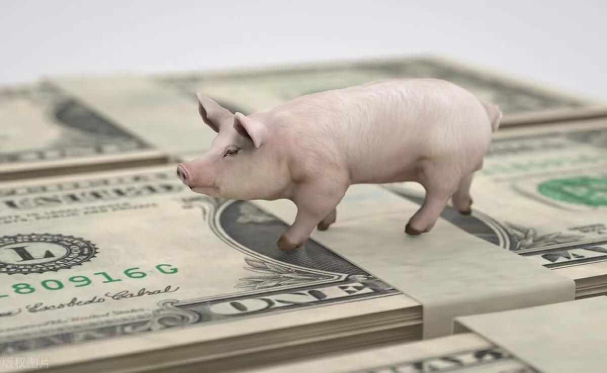政策对生猪行业的影响：集中度逐渐提升，规模化进程进一步提速