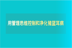 真实经验分享！用管理思维控制和净化猪蓝耳病