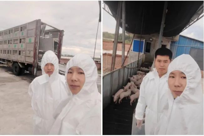张老板在特驱的帮助下进苗