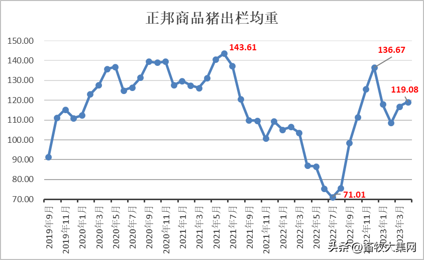 正邦商品猪出栏净重