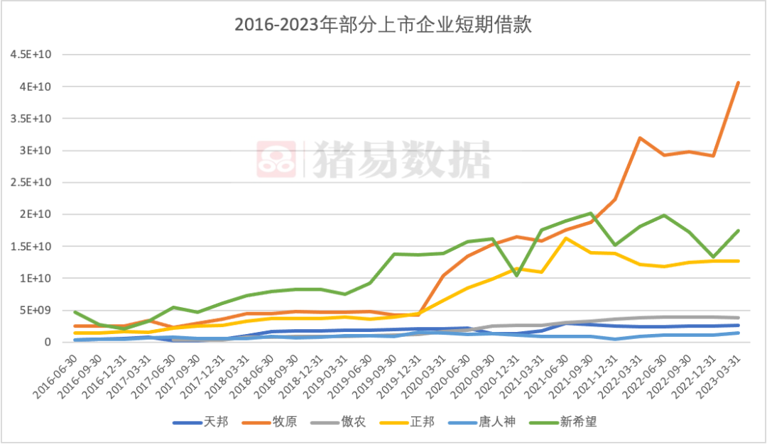 负债几百上千亿，危机重重！大猪企真的只是等待猪价上涨那么简单？