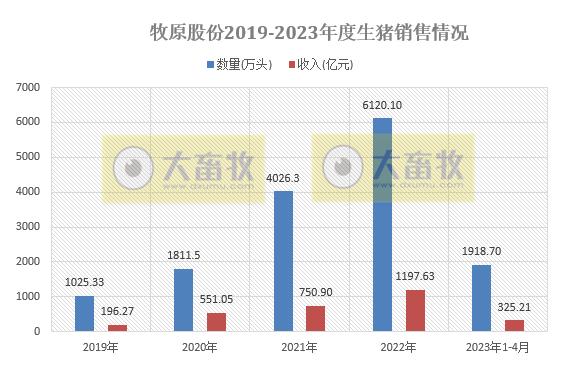 牧原生猪销售情况