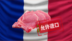 法国猪肉来了！官方：即日起允许进口！