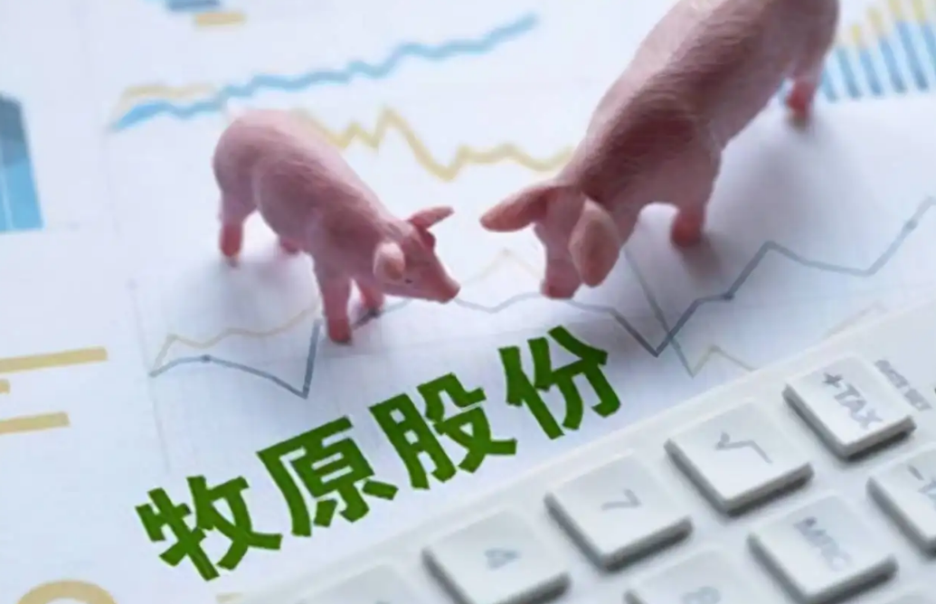 牧原股份：生猪养殖产能超过7500万头/年，预计2023年生猪养殖产能将保持增长