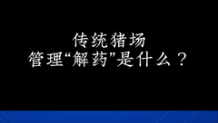 传统猪场管理“解药”是什么？扬翔FPF未来猪场解决您的难题？