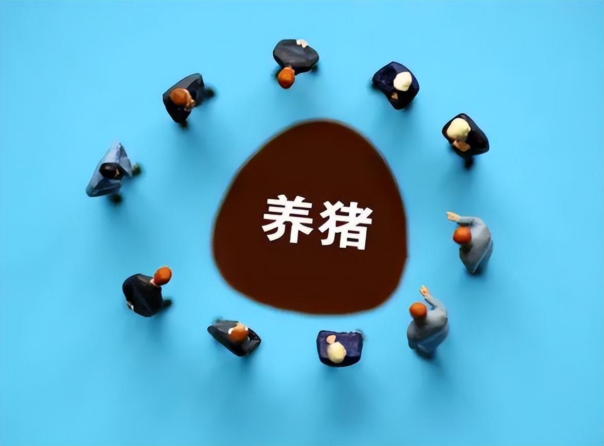 警惕养猪业“房地产化”！养猪业会不会成为下一个被动或主动去泡沫的产业？