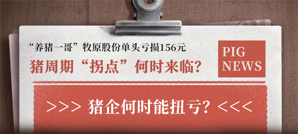 “养猪一哥”牧原股份单头亏损156元，猪周期“拐点”何时来临？猪企何时能扭亏？