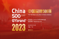 厉害了！双胞胎集团再次上榜中国最具价值品牌500强