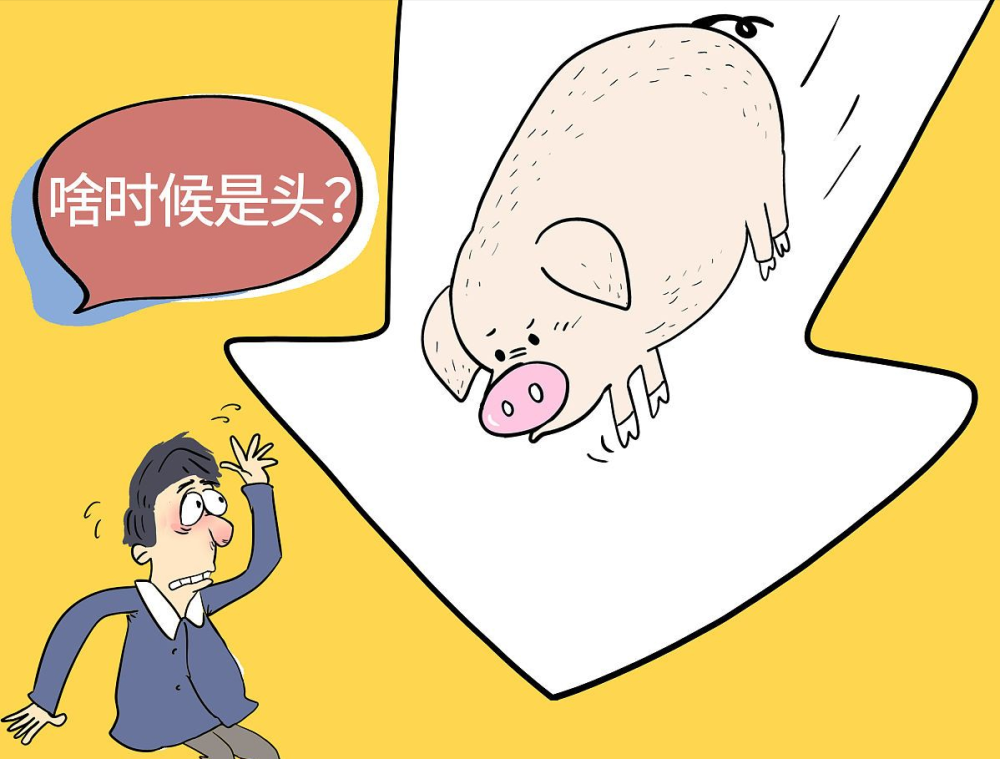 猪价下跌