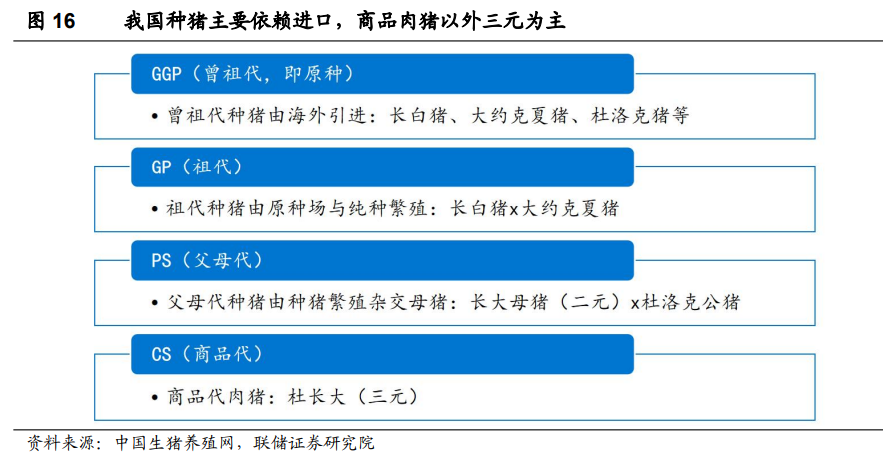 种猪主要依赖进口