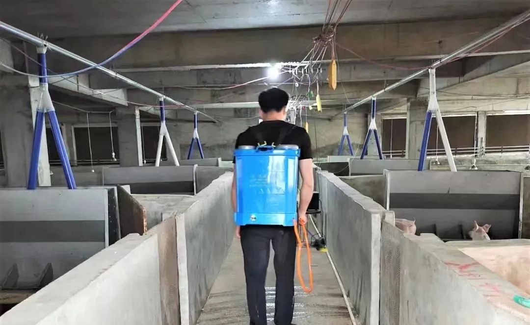 在非瘟疫情常态化的形式下，饲料经销商该如何转型求变？