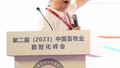 扬翔股份副总裁高远飞：猪价持续低迷，未来养猪的出路在哪里？