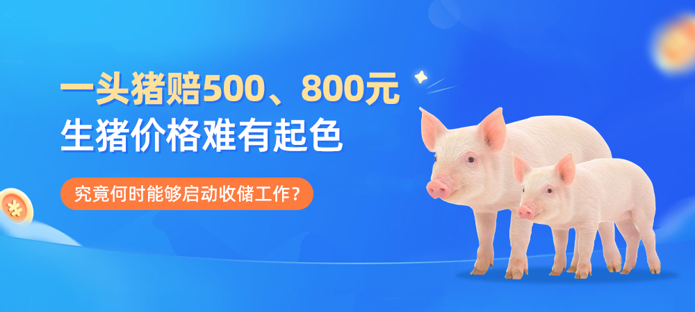 一头猪赔500、800元！生猪价格难有起色，究竟何时能够启动收储工作？