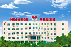 恭贺双胞胎集团蝉联农业产业化国家重点龙头企业！