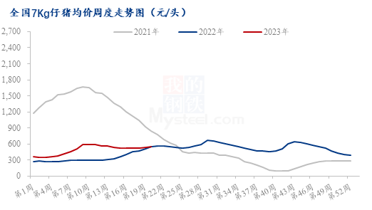 猪肉消费进入淡季，但仔猪行情却持续火热？警惕掉入陷阱