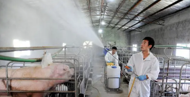 夏季气温回升，养猪场怎么做好消毒环节？