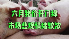 6月1日生猪价格：气温升高消费需求减弱，6月猪价难有新的反转？