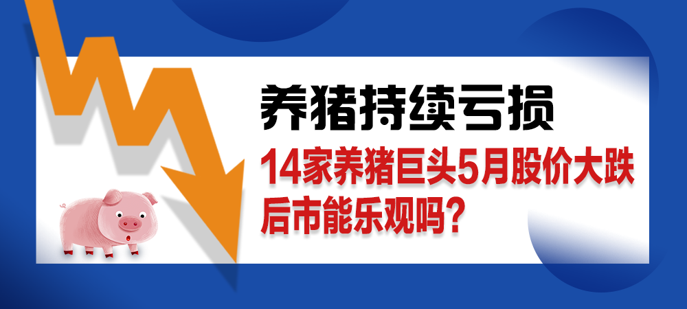 养猪持续亏损！14家养猪巨头5月股价大跌！后市能乐观吗？