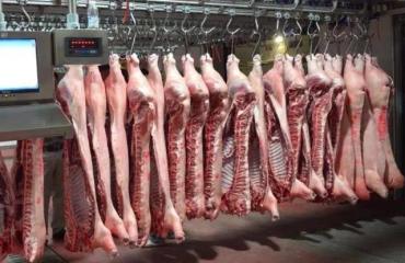 2023年06月04日全国各省市白条猪肉批发均价报价表，略微上浮，能提振猪价吗？