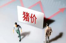  6月末猪价有小幅上涨机会？专家：不要有太大预期，用心养好猪才是根本