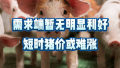 6月9日生猪价格：集团场出栏略加量，但跌幅有限，猪价还要持续磨底多久？