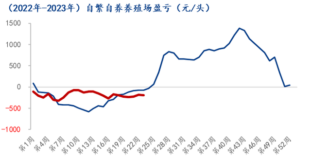 自繁自养盈亏
