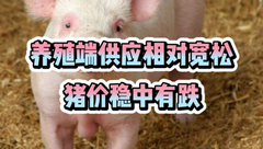 6月10日生猪价格：猪价持续低位震荡，端午消费刺激下6月能否顺市反弹？