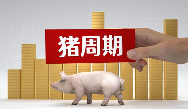 降幅超14%！仔猪价格“跳水”，猪周期迎来“新阶段”，发生了啥？