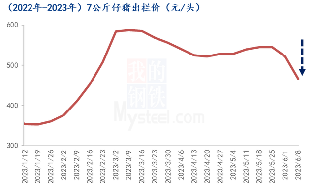 仔猪出栏价